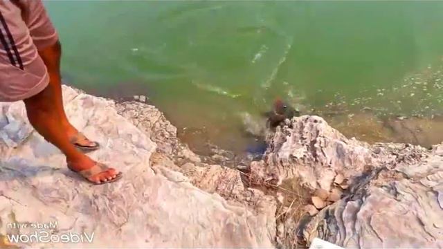 ЗОЛОТАЯ РЫБКА всем смотреть.....! смотреть онлайн