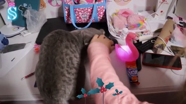 Кто заказывал СОСИСКИ? Тима, Эмма и КОТЕНОК распаковывают ПОДАРКИ от Святого Николая ?