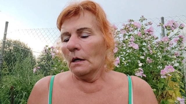 про пандемию, вакцинацию, погоду