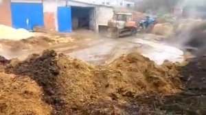 Конский навоз с конефермы Ковчег, поселок Ропша