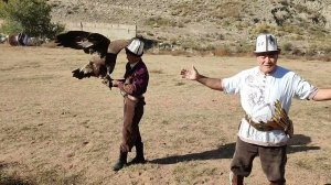 Киргизский парень показывает как охотятся с беркутами