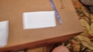 школа басиков