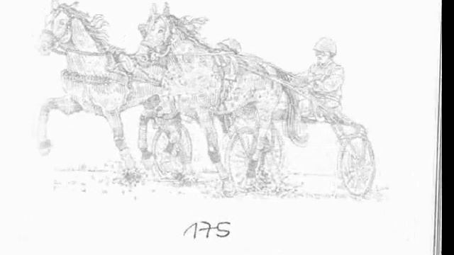 Буктрейлер о книге «Долгая дорога домой» детского писателя В. Каменева смотреть онлайн