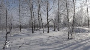 КРАСИВЫЕ Зимние пейзажи | ЗИМА и КРАСИВАЯ ПРИРОДА ЗИМОЙ в Зимний День