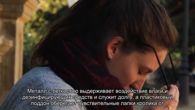 Содержание декоративных кроликов в домашних условиях смотреть онлайн