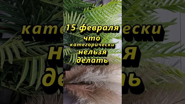 15 февраля что категорически нельзя делать