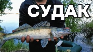 🐟СУДАК в ТРИ ЗАБРОСА 🎣 РЫБАЛКА ВЯЧЕСЛАВКА 🎣