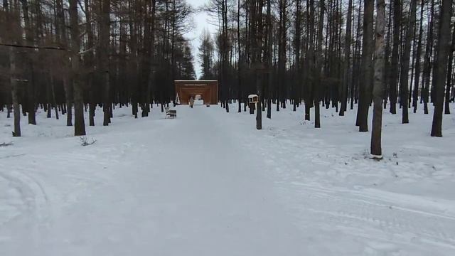 Обзор! Балахта, Сибирская деревня, прогулка без комментариев / Balahta, Siberian village