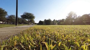 Пол Блум - против эмпатии