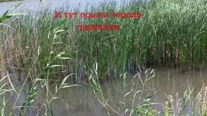 Рыбалка с рогаткой 2023!!!Встретил большего Амура