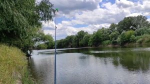 Карась на перловку и кукурузу. Карп разгибает крючки.Рыбалка на фидер.
