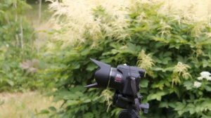 How to make timelapse with Panasonic DMC FZ 28