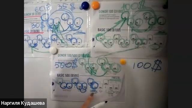 Команда Прайд. Презентация 31.05 компании Maneki Neko смотреть онлайн