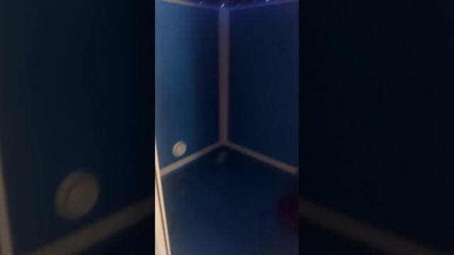 солевая вана