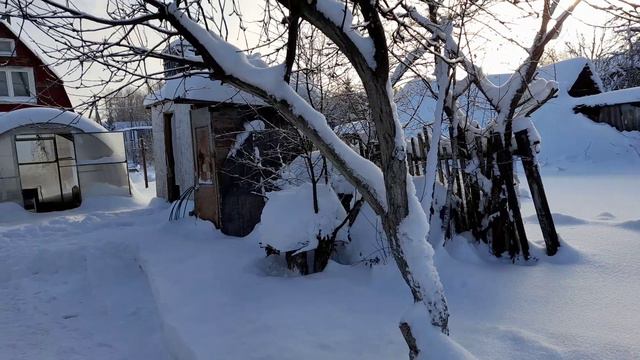 Начинаются холода, Морозное утро. Декабрь 2023г. смотреть онлайн