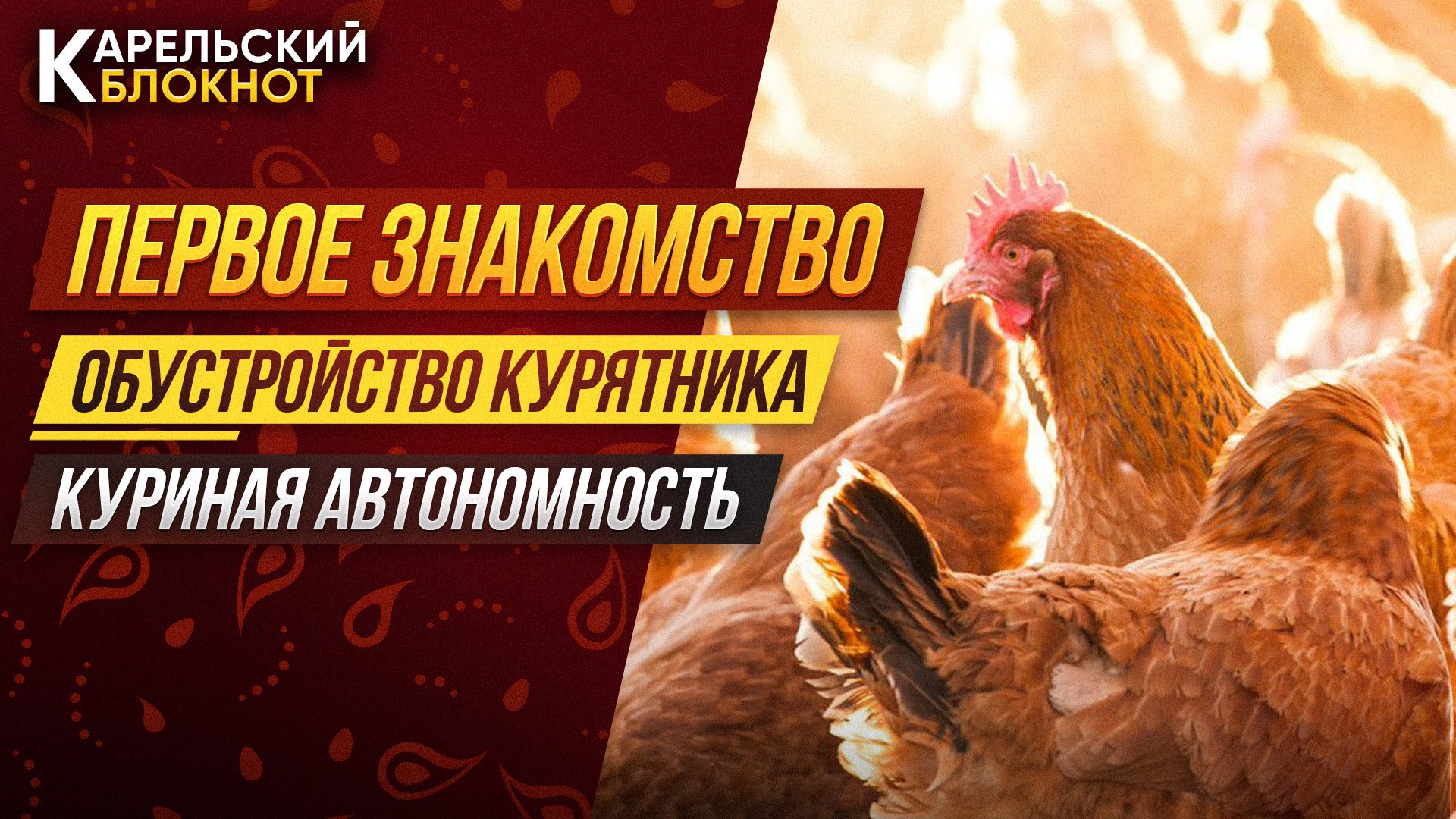 #1 Карельский блокнот