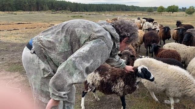 Комбикорм своими руками.MOV