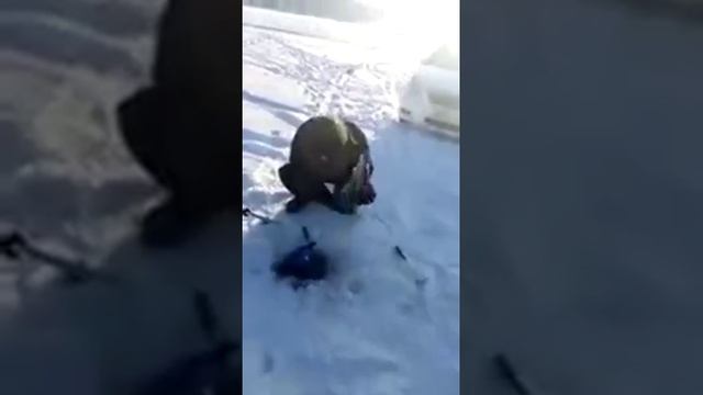 Зимняя рыбалка "Супер рыбак".
