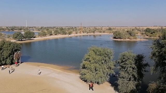 Al Qudra Lakes Dubai/Flamingo lake Dubai/Camping in Dubai