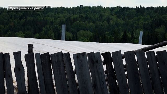 ЧТО ЕДИМ? В СИБИРИ НАДОЛГО ОБОСНОВАЛИСЬ КИТАЙСКИЕ ТЕПЛИЦЫ смотреть онлайн