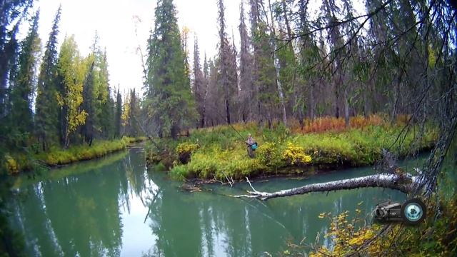 Рыбалка в стиле рок-н-ролл смотреть онлайн