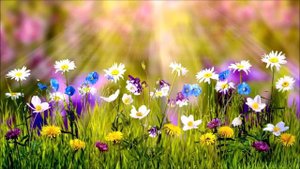 ОМАР ХАЙЯМ О ЖЕНЩИНАХ И ЛЮБВИ Красивые стихи с глубоким смыслом, рубаи