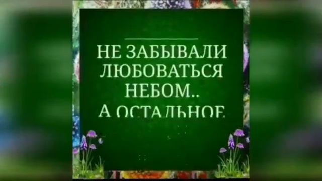 В чем ценность жизни ?