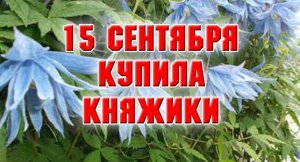 Купила княжики за копейки.mp4
