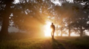 Научи меня Боже любить