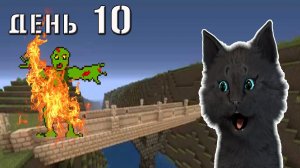 ДРАКА С ГОРЯЩИМ ЗОМБИ НА МОСТУ Minecraft Супер Кот собрался в путешествие ВЫЖИВАНИЕ 100 ДЕНЬ 10