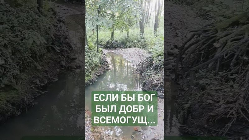 Если бы Бог был добр и всемогущ.