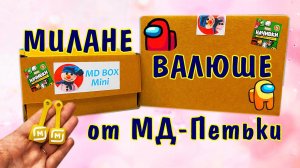ВСЕ АКЦИИ и много СЮРПРИЗОВ в ПОСЫЛКЕ от ПОДПИСЧИКА MD и Петька из НОВОСИБИРСКА