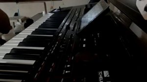 Sevemedim Karagozlum 2022|Deephouse version|Korg pa4x| ريمكس تركي مطلوب استكنان