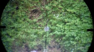 КАКОЙ ОПТИЧЕСКИЙ ПРИЦЕЛ ВЫБРАТЬ? Новые китайские оптические устройства MewLite