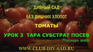 ТОМАТЫ Часть 1. Урок 3. ТАРА. СУБСТРАТ. ПОСЕВ СЕМЯН