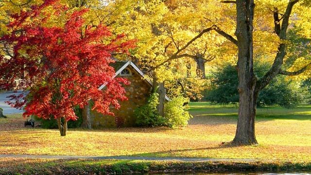 Адвокат увидела на клиентке до боли знакомый кулон,проследив за ней потеряла она дар речи... смотреть онлайн