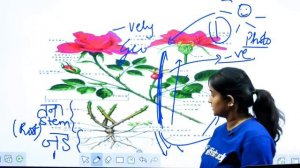 5:30 PM - UPSC CDS (II) 2019 | GS by Shipra Ma’am | Angiosperms