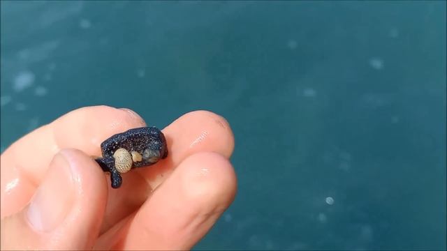 Месяц шторма! Смотрим что нам принесло! смотреть онлайн