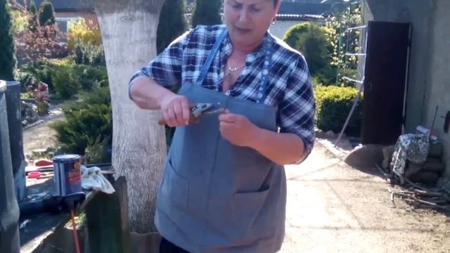 Слива отцвела.Защита от плодового пилильщика смотреть онлайн