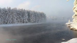 ✅ 4К Природа Сибири! Енисей! Тайга! Siberian river!