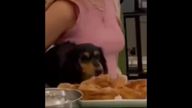прикольная 👍 озвучка 👍 2 часть
