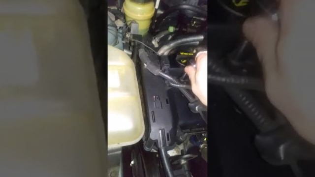 2006 Ford Focus Zx4 2.3l coil pack upgrade part 1! смотреть онлайн