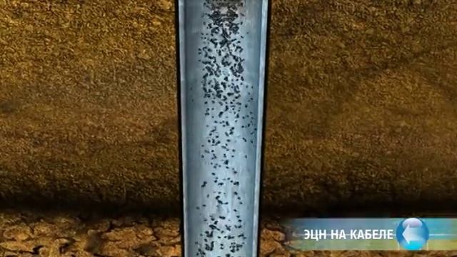 ЭЦН на кабеле смотреть онлайн