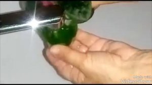 КАК ПОМЫТЬ ЛИСТЬЯ ФИАЛКИ /Мой Опыт -  Новичкам!!!