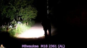 Обзор и сравнение фонарей Milwaukee M12 2362, 2364, M18 2361, 2363, 2735 и Dewalt  DCL050