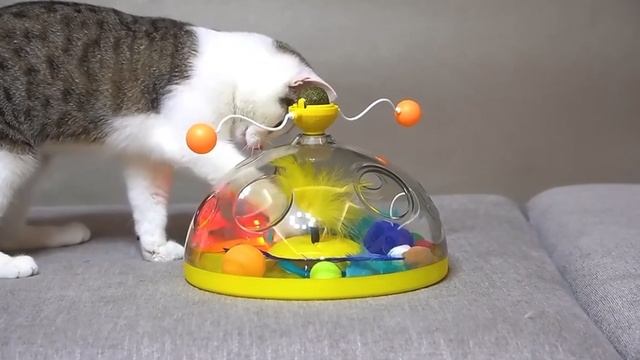 Игрушка для кошек! смотреть онлайн