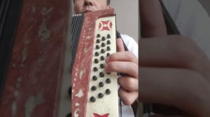 Как научиться играть на гармошке. "Как под горкой под горой". Разбор песни. Фишки на гармошке