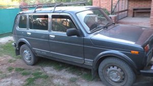 Русский охотничий спаниэль.....Покупаю.Выбираю щенка