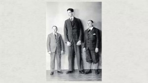 ТОП 10: Самые высокие люди в мире