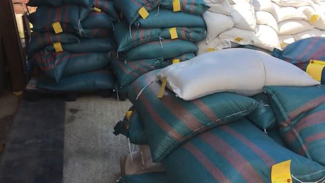 Семена из Польши смотреть онлайн